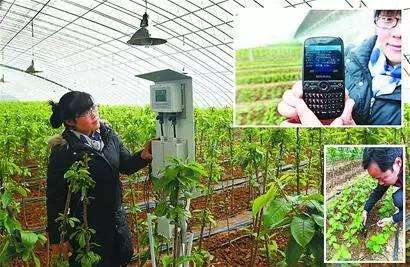 農(nóng)業(yè)應(yīng)用.jpg 農(nóng)業(yè)應(yīng)用.jpg